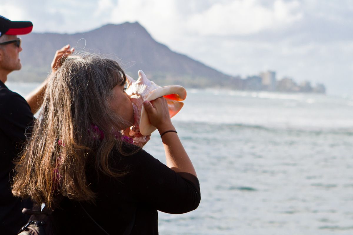 conch shell