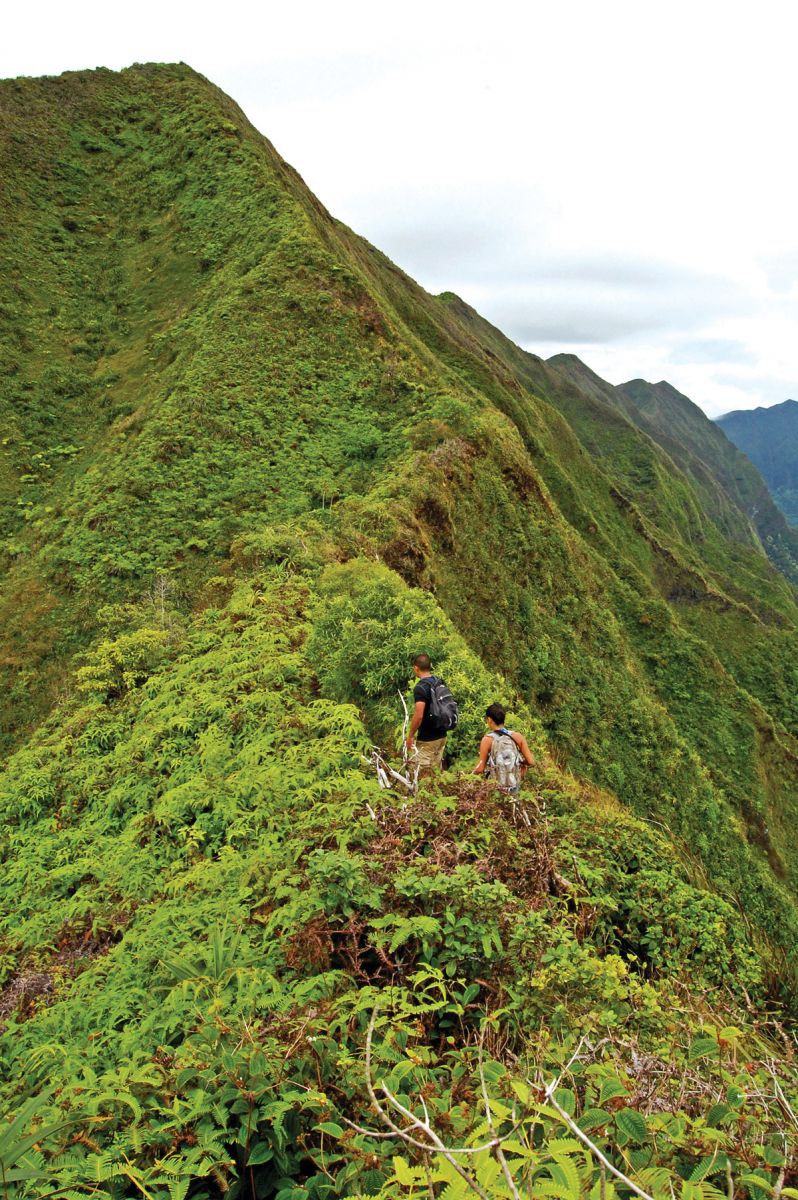 koolau