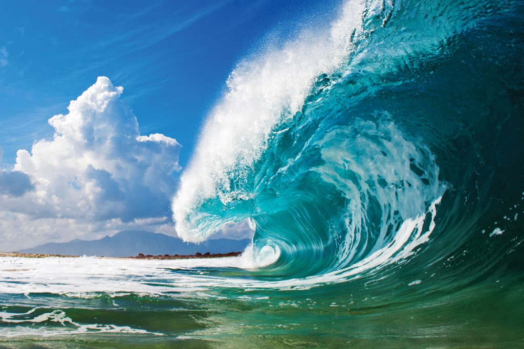 clark little surf