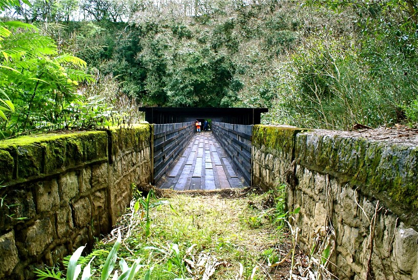 Flumin_Da_Ditch_tour_Big_Island_Hawaii_update