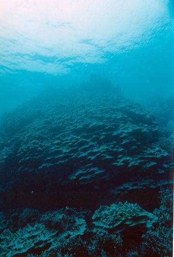 KaneoheBay