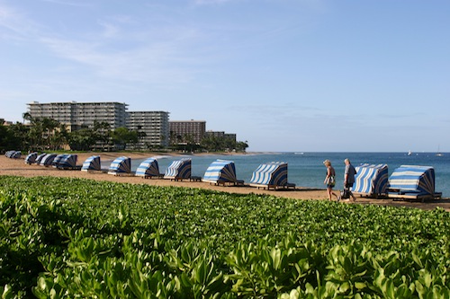 Kapalua2