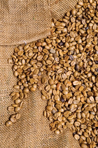 Hawaii_Big Island_Kau_coffee Hawaii_Big Island_Kau_coffee