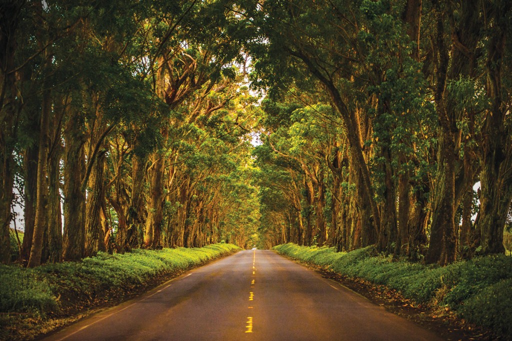 Kauai_1