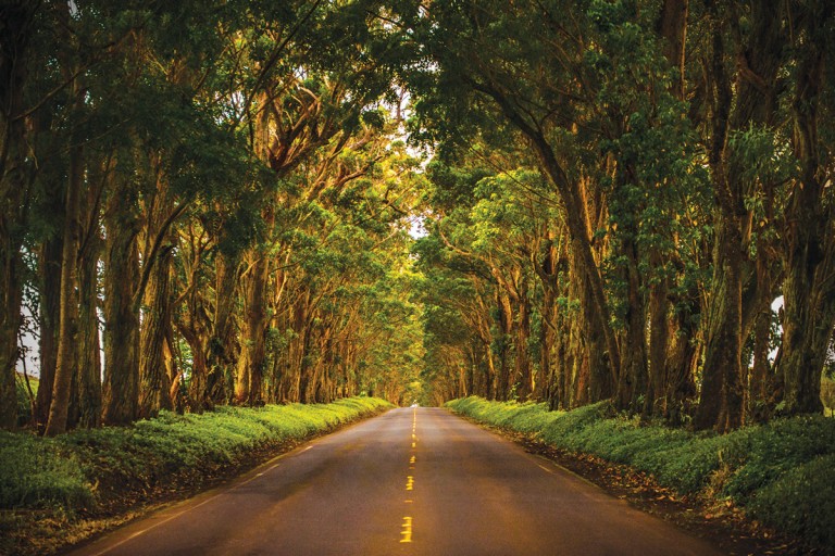 Kauai_1