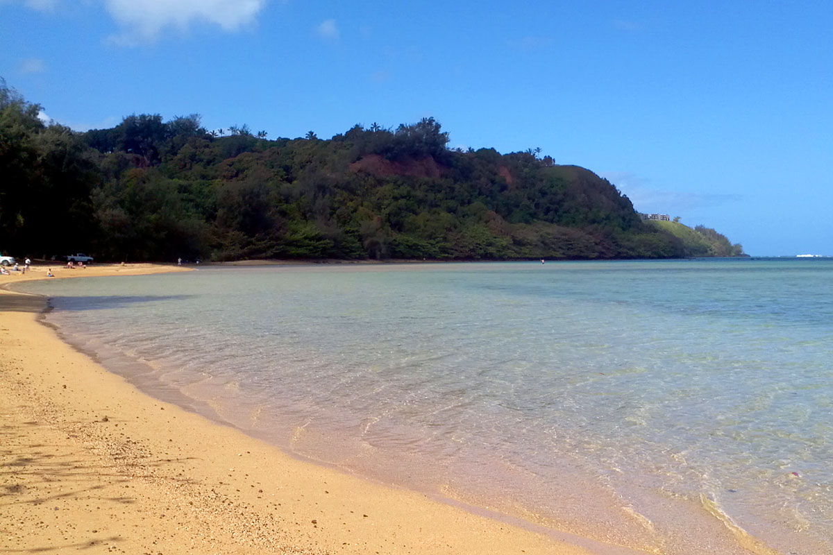 anini