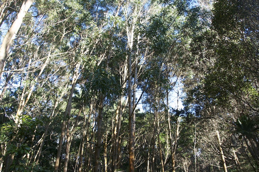  width=