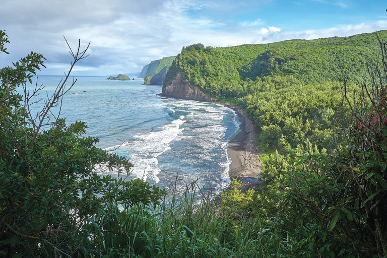 Kohala Hawaii_4