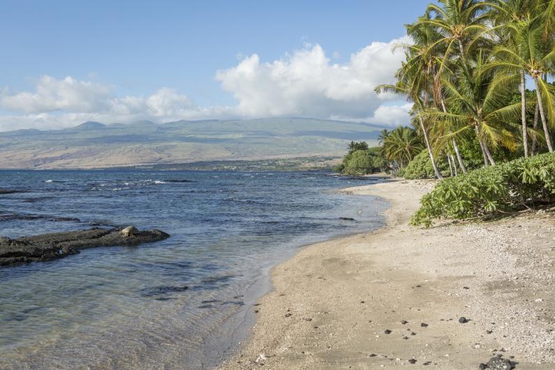 Kohala