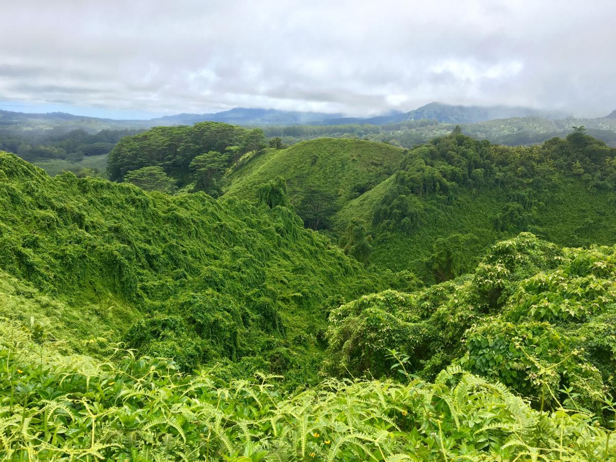 kuilau trail