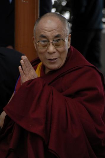 Lama1