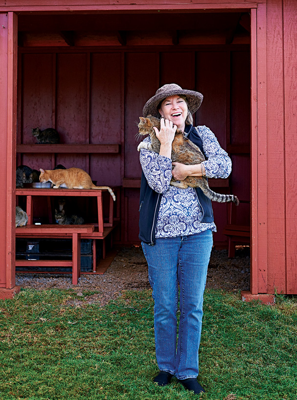 lanai cat sanctuary