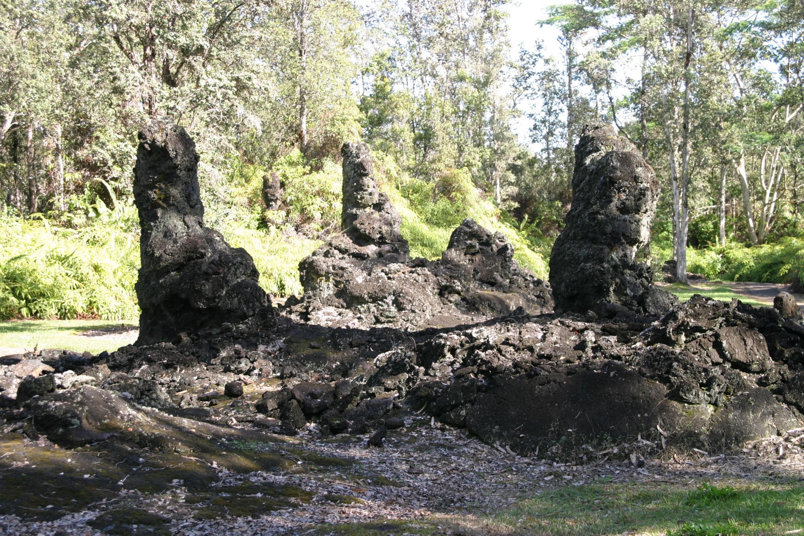 Big_Island_Lava_Tree_State_Monument_reopens