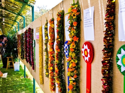 Hawaii_Oahu_Waikiki_Big_Island_Hilo_lei_day