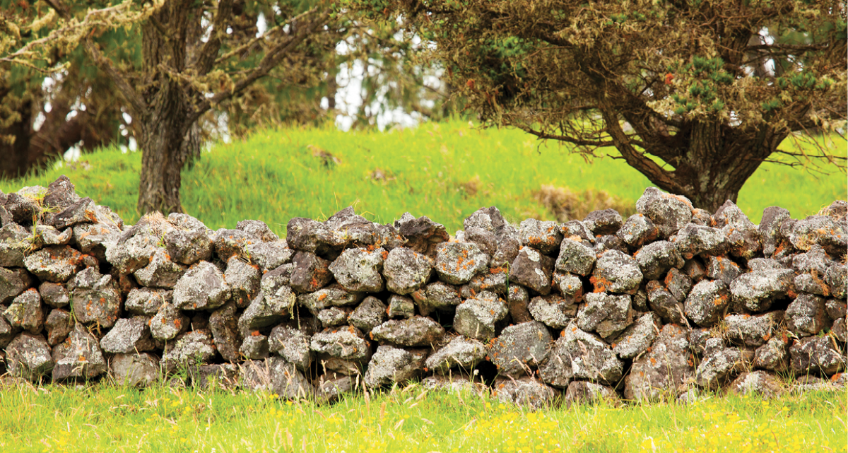 rock wall mana road