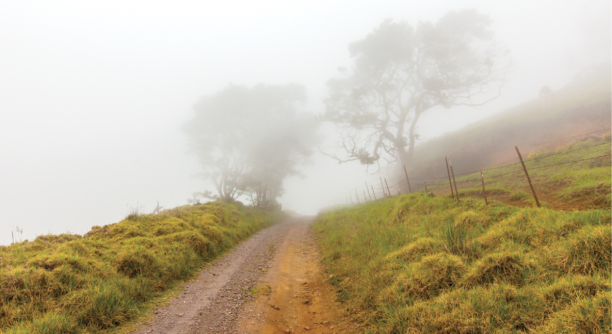 mist mana road