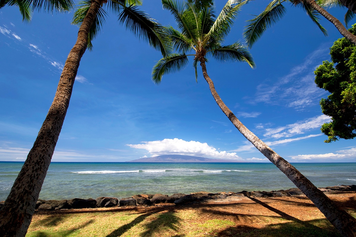 maui