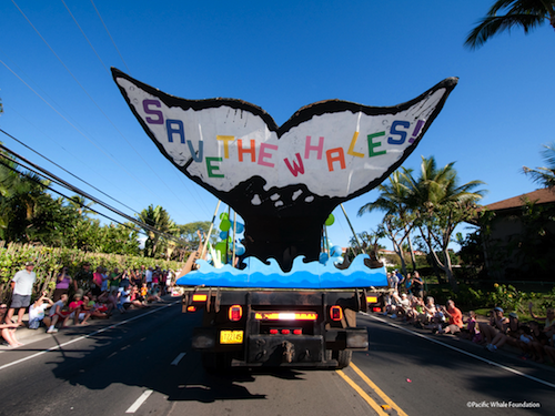 maui_whale_festival_world_day_parade