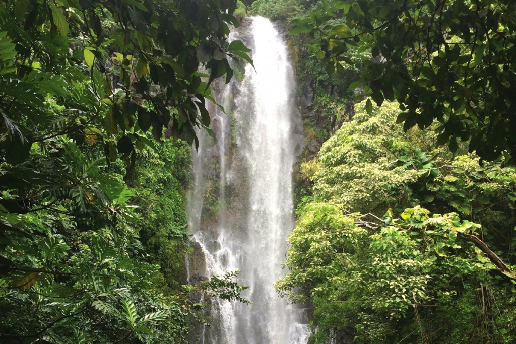 Maui_opener