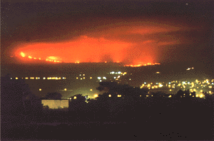 Mauna Loa 1984 Hilo