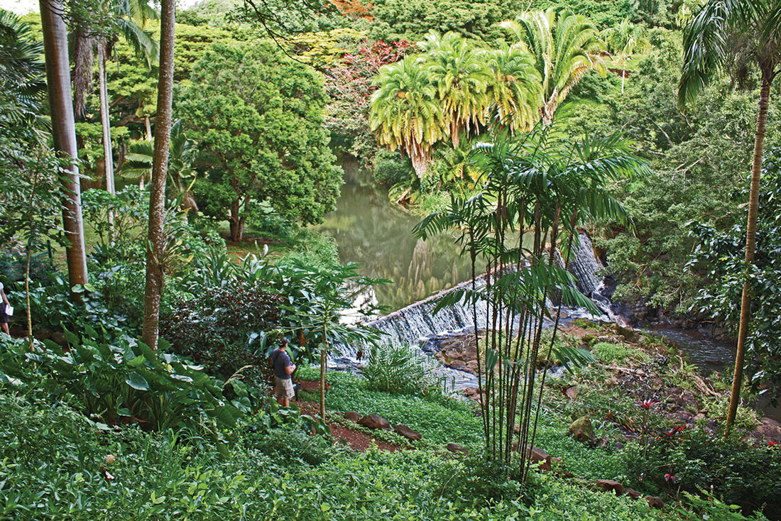 mcbryde garden