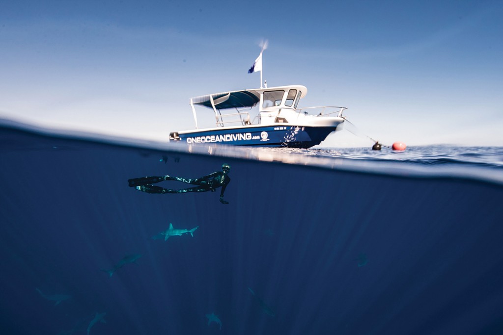 Oahu-One-Ocean-1
