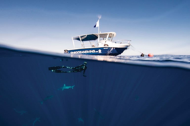 Oahu-One-Ocean-1