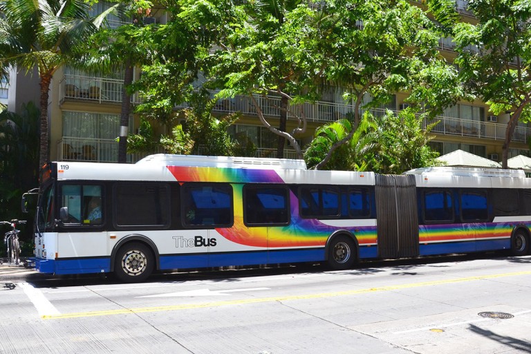 thebus