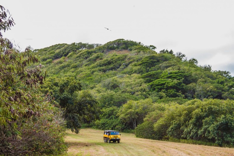 Oahu_LegacyForest5