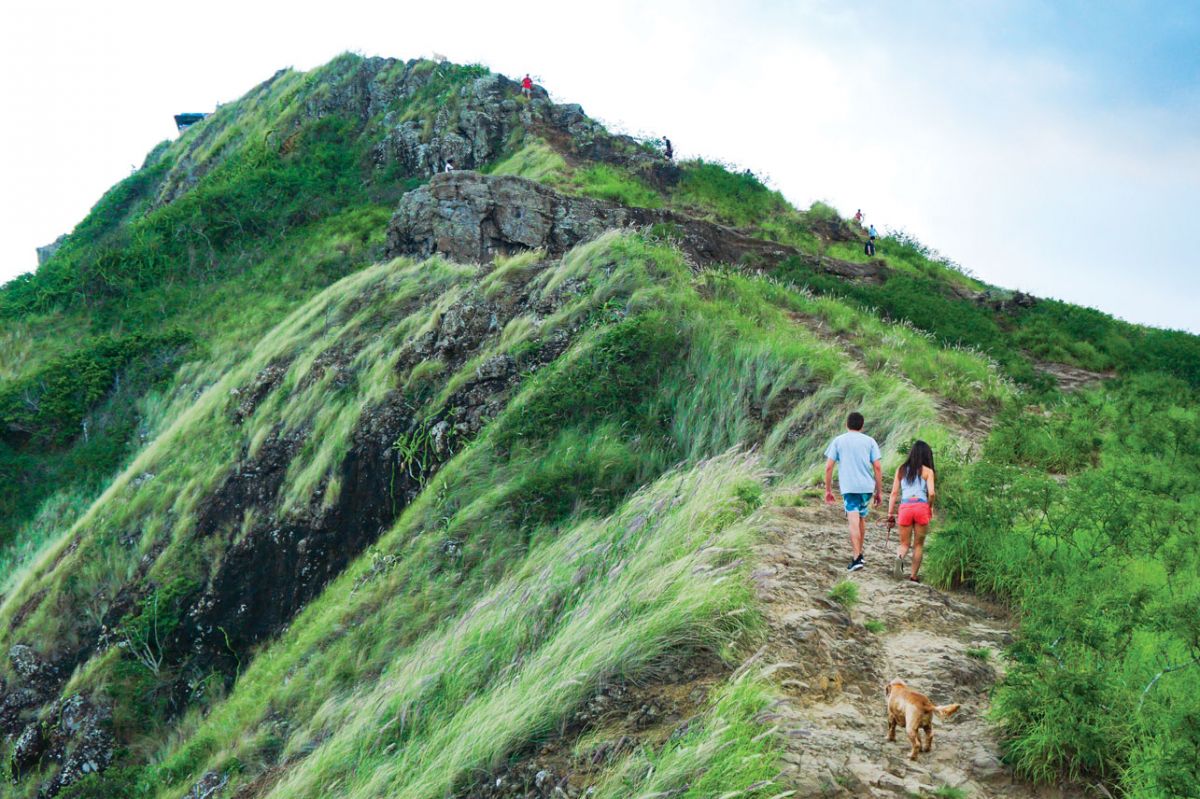 pillbox hike