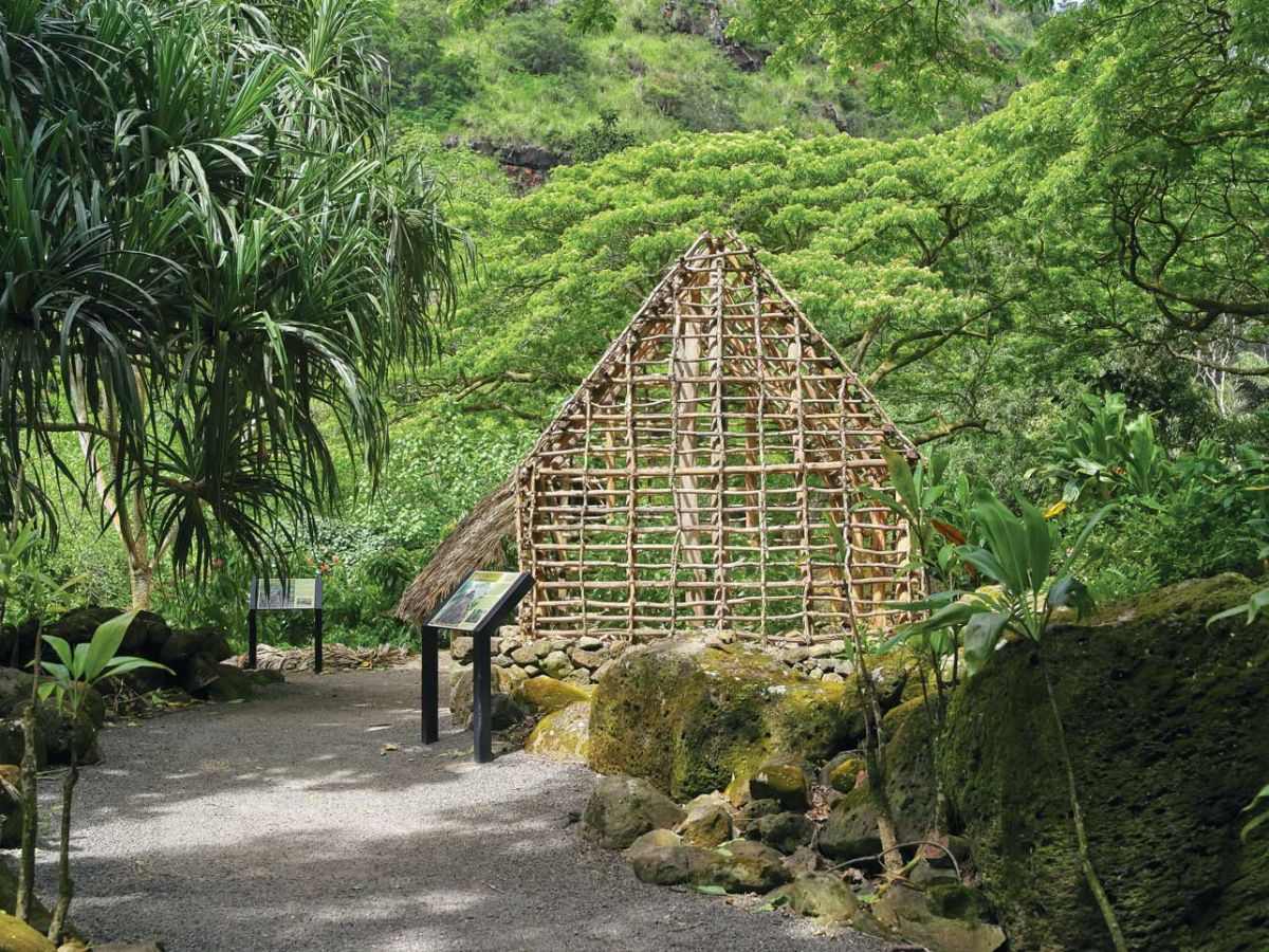 waimea