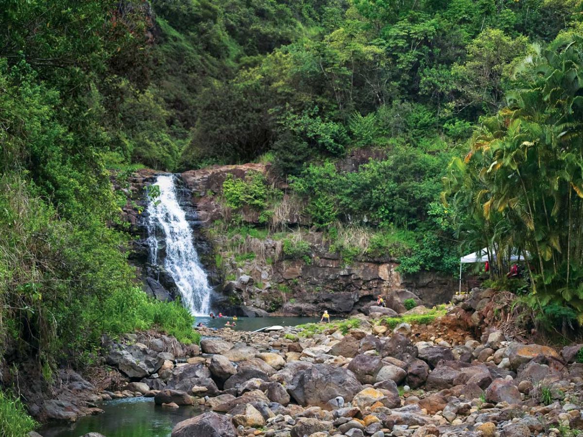 waimea