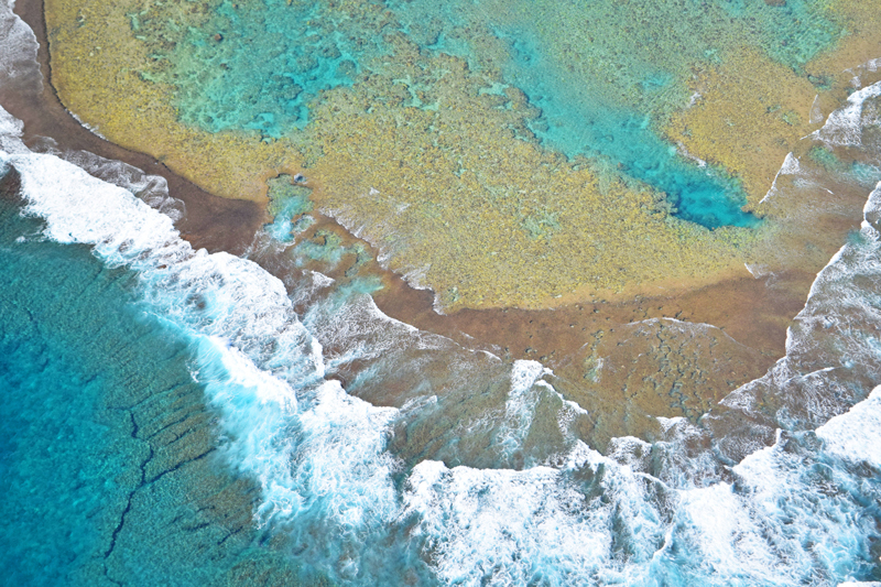 kauai reef photo contest