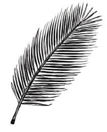 width=