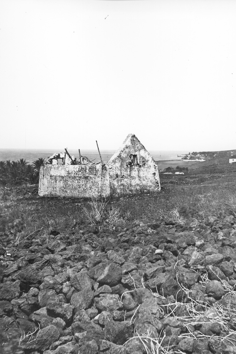 john young's house