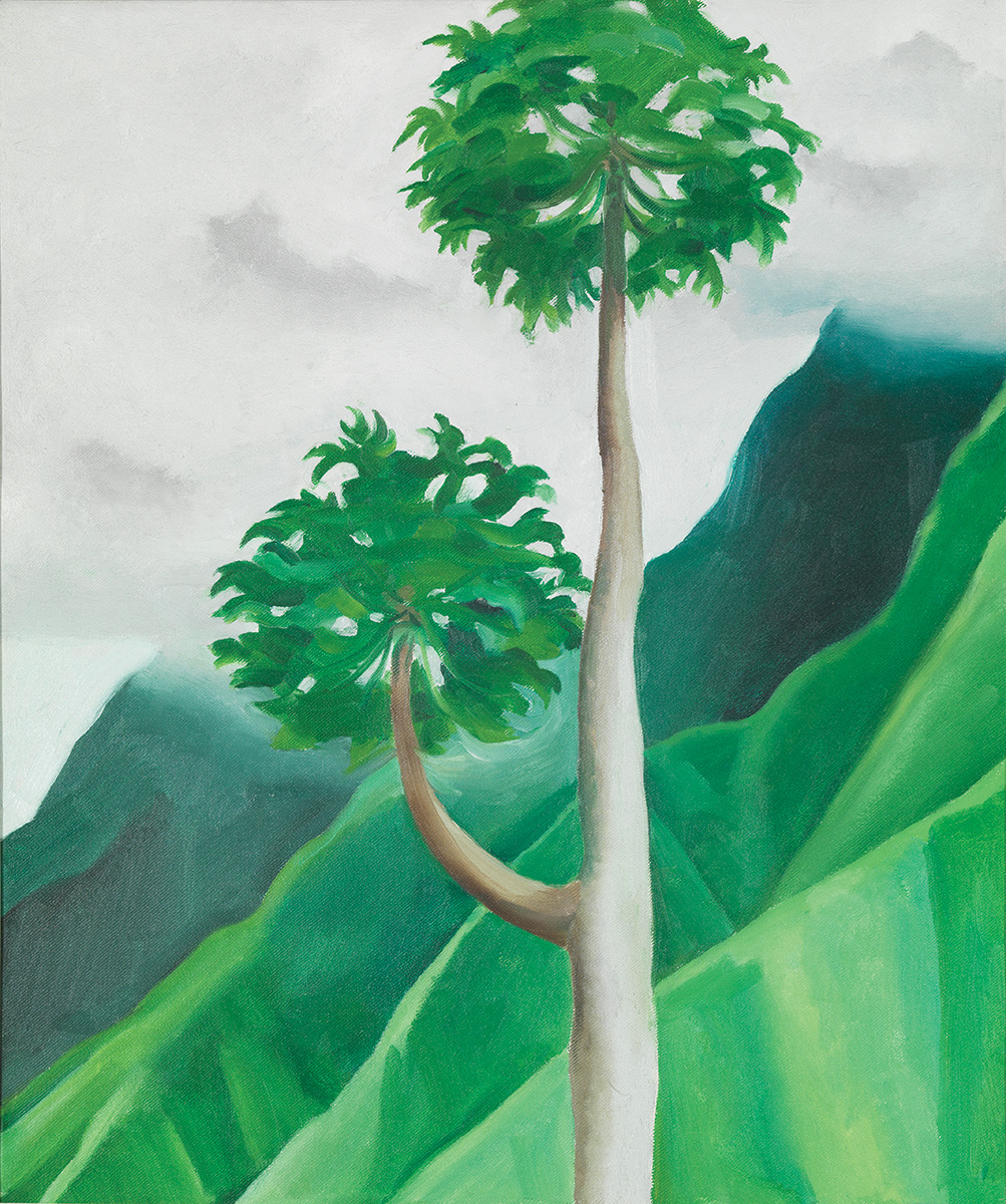 papaya