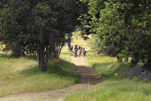 Hawaii_Volcanoes_National_Park_guided_hikes Hawaii_Volcanoes_National_Park_guided_hikes