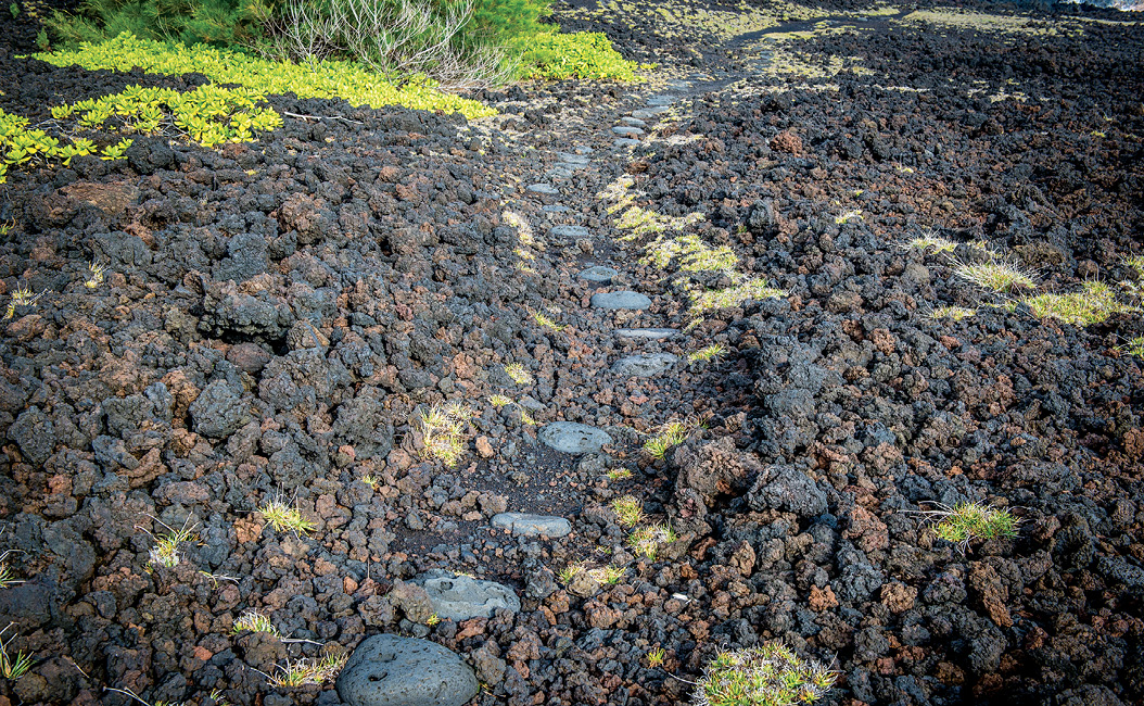 kings highway maui