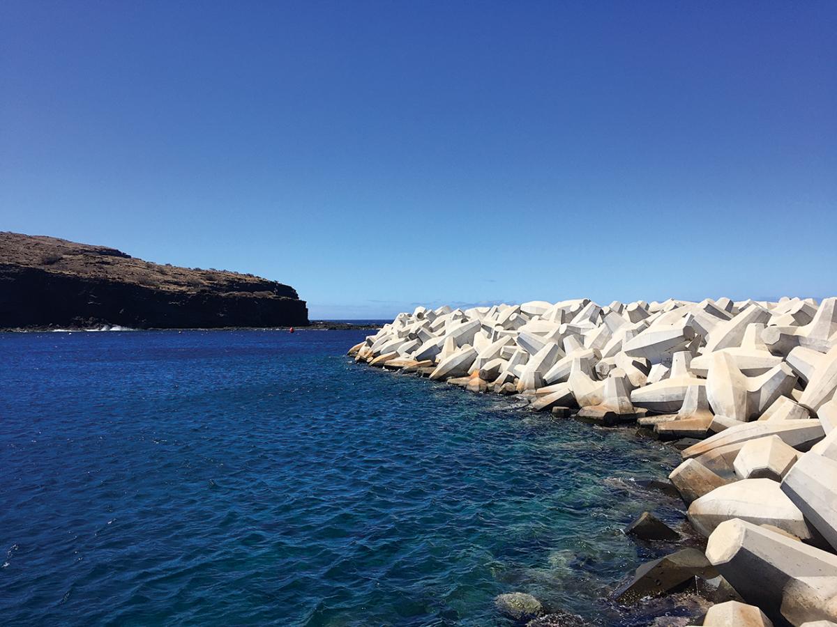 lanai cycles bike tour