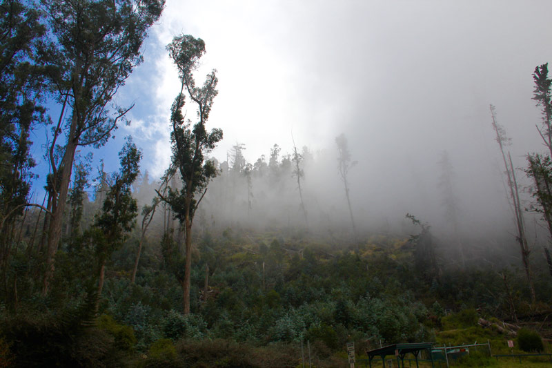 polipoli trail maui