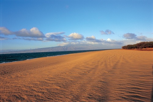 Hawaii_Lanai_Maui_Dole_Oracle_Murdock_Ellison_Oahu