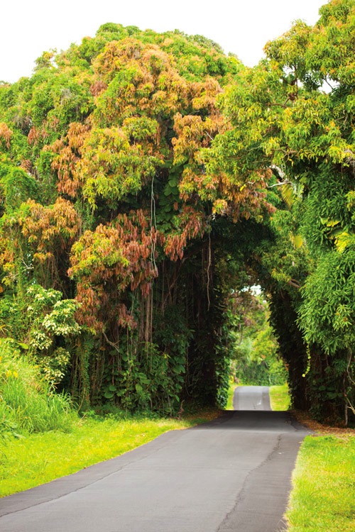 red_cinder_road_big_island_hawaii