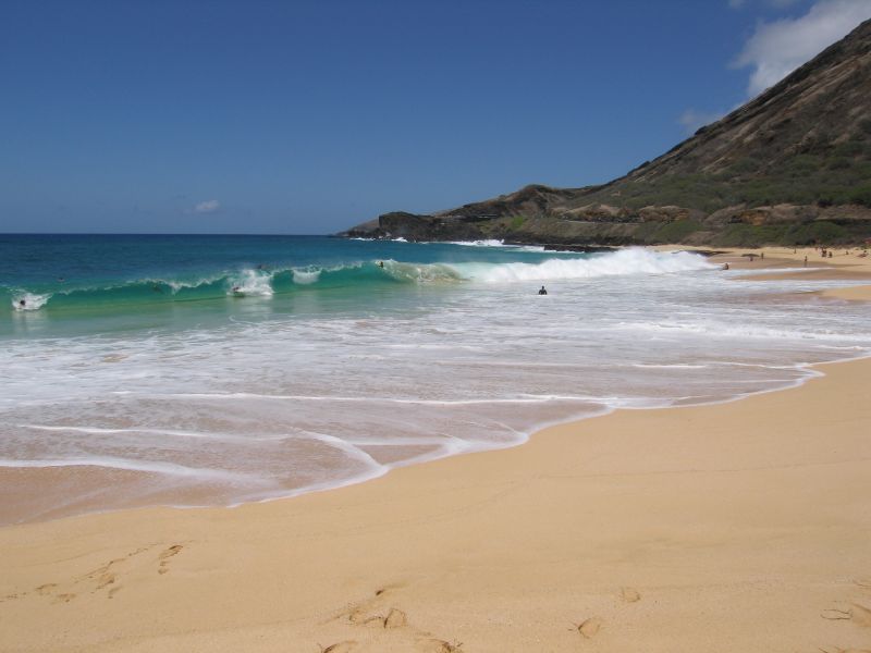 sandys