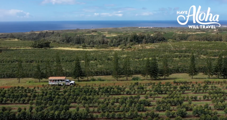 Kauai Coffee