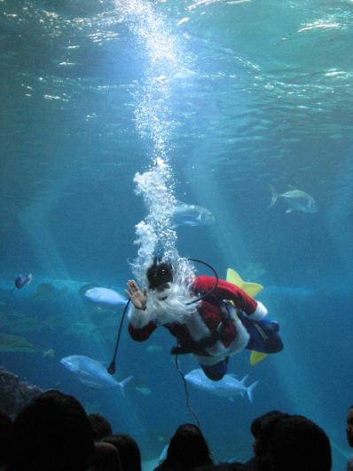 Scuba Clause