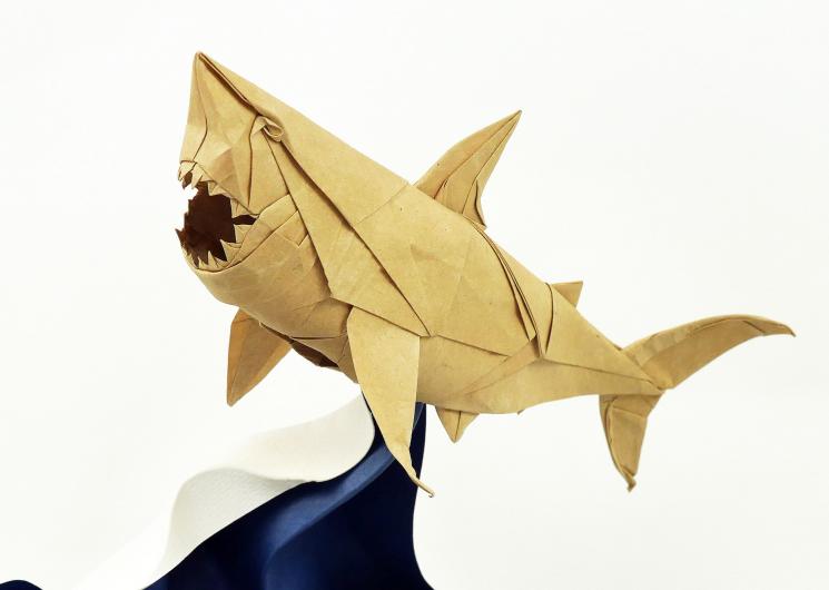 SharkOnWave