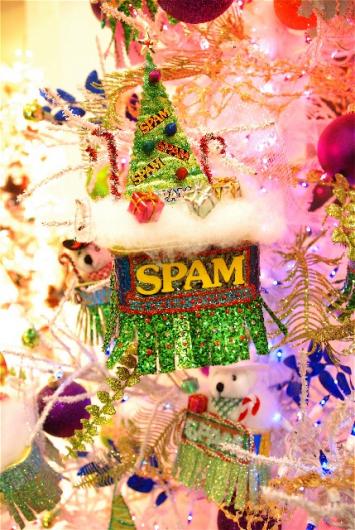 Spam B DSC_0222