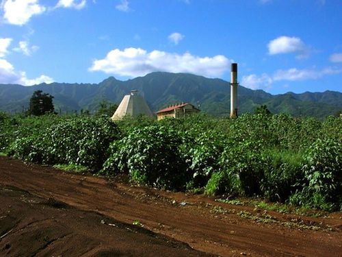 Sugar Mill