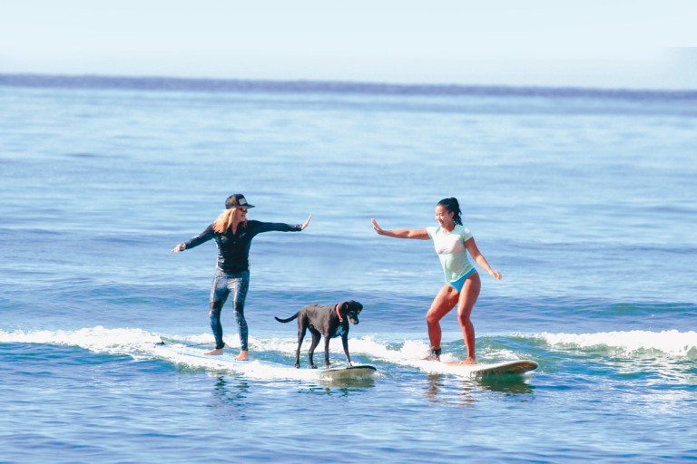 Surf1_Courtesy