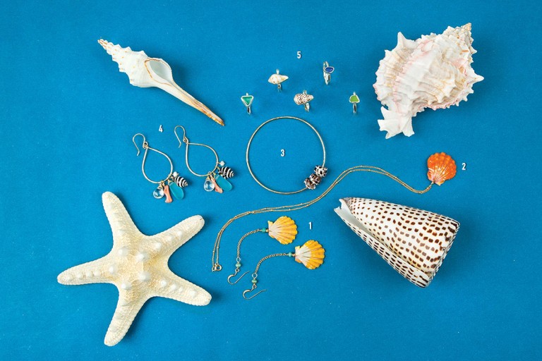 shells